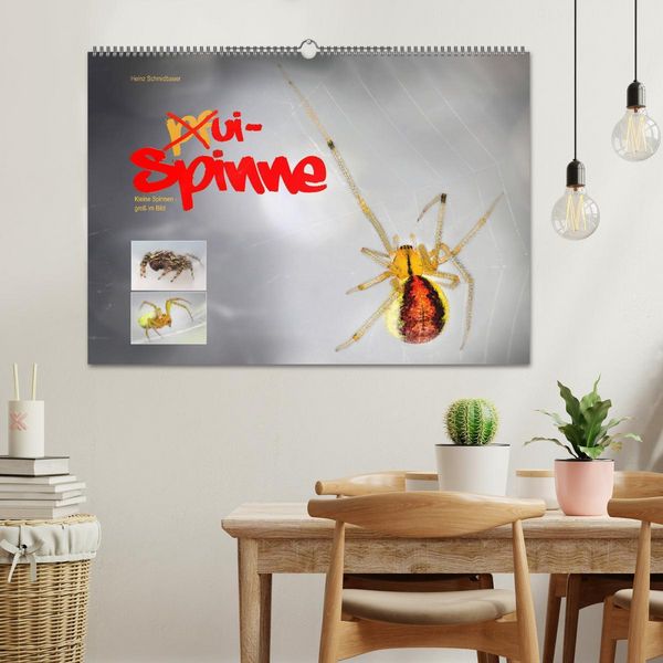 Produktbild: ui - Spinne. Kleine Spinnen - gro&szlig; im Bild (Wandkalender 2026 DIN A2 quer), CALVENDO Monatskalender
