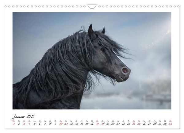 Produktbild: Friesen - stolze Giganten (Wandkalender 2026 DIN A3 quer), CALVENDO Monatskalender
