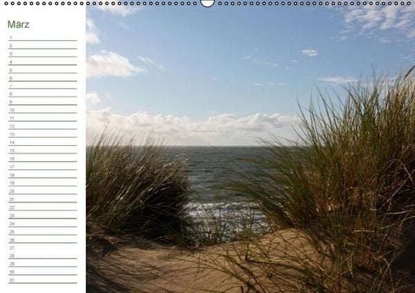 Produktbild: Sylter D&uuml;nen (Wandkalender immerw&auml;hrend DIN A2 quer)