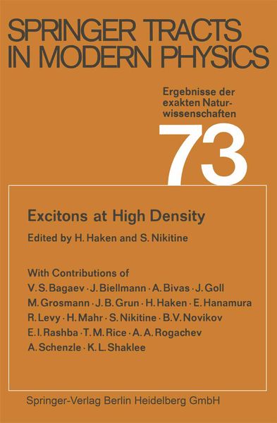 Produktbild: Excitons at High Density