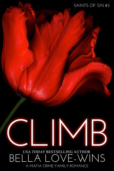 Produktbild: Climb (Saints of Sin, #3)