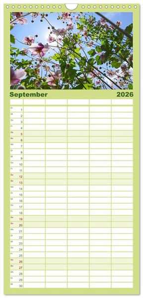 Produktbild: Familienplaner 2026 - Garten von unten. Ein Perspektivwechsel mit 5 Spalten (Wandkalender, 21 x 45 cm) CALVENDO