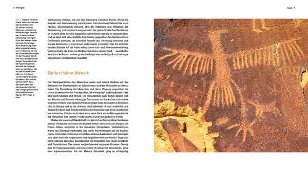 Produktbild: Der Steinadler