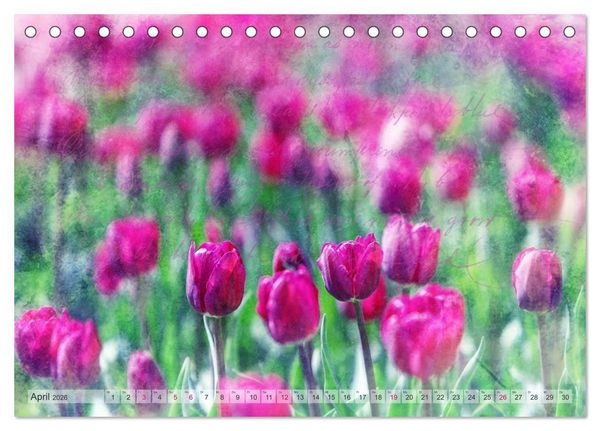 Produktbild: Vintage Nature - Romantische Naturaufnahmen (Tischkalender 2026 DIN A5 quer), CALVENDO Monatskalender