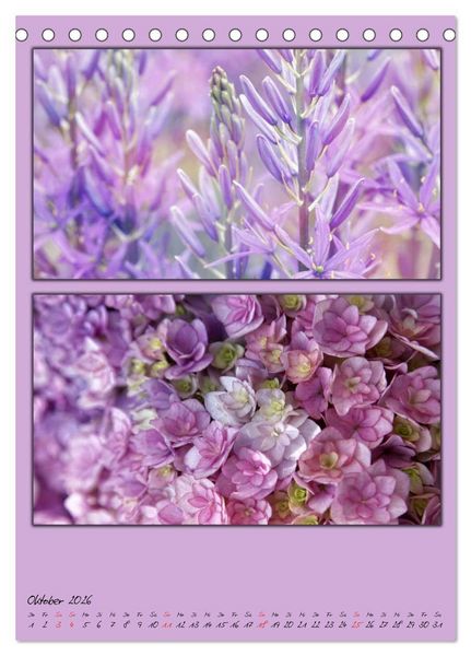 Produktbild: Farbtupferl der Natur (Tischkalender 2026 DIN A5 hoch), CALVENDO Monatskalender