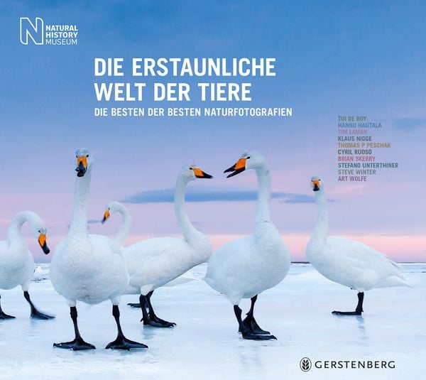 Produktbild: Die erstaunliche Welt der Tiere