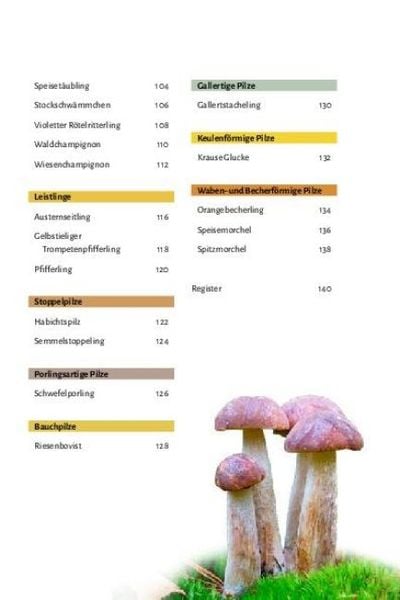 Produktbild: Pilze bestimmen - Der kleine Pilzf&uuml;hrer f&uuml;r Einsteiger und Fortgeschrittene