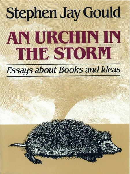 Produktbild: An Urchin in the Storm