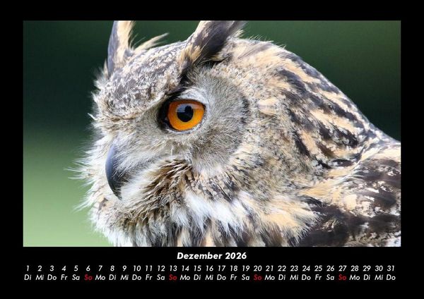 Produktbild: Der Tierkalender 2026 Fotokalender DIN A3