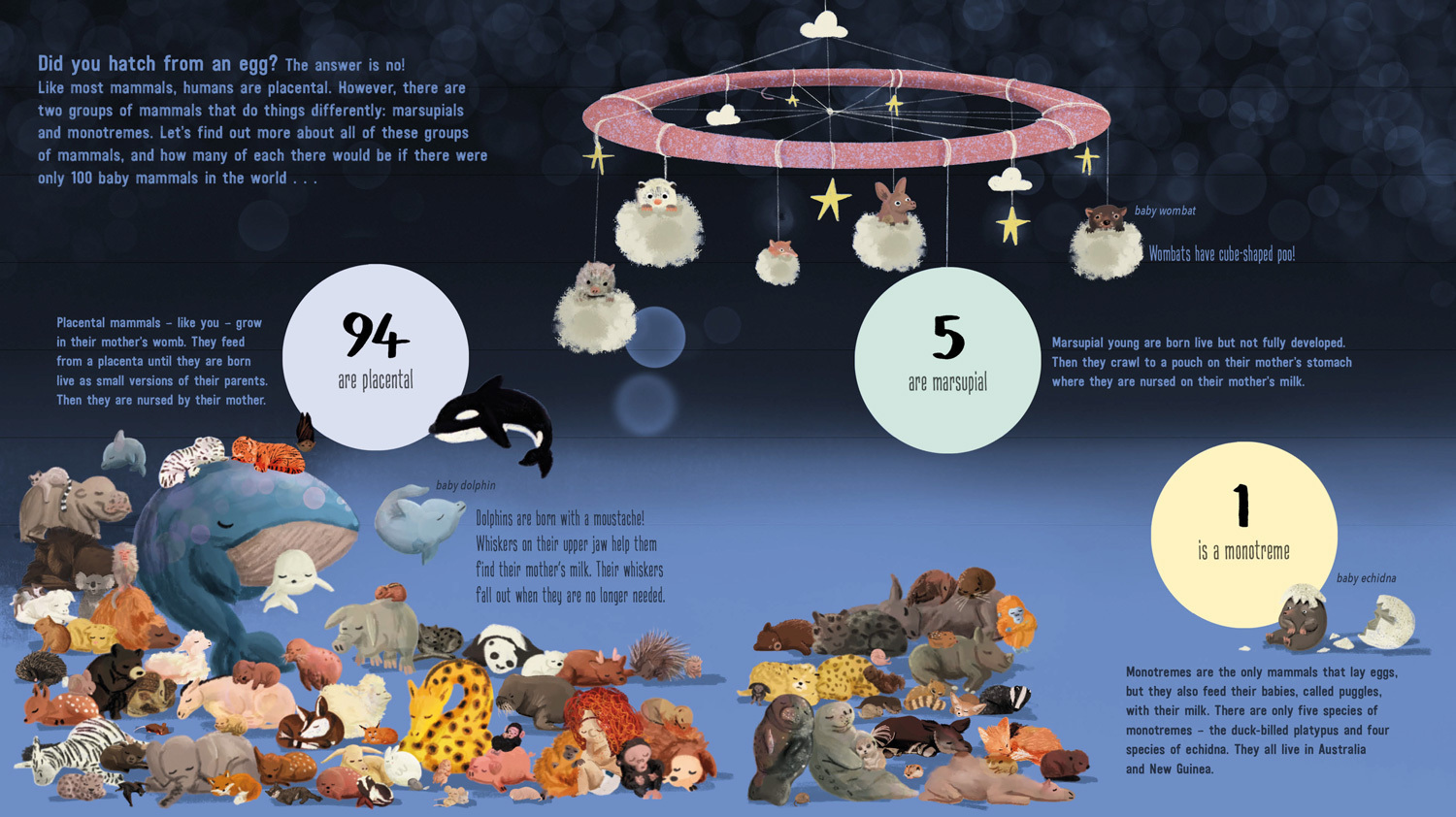 Produktbild: IF WORLD WERE 100 ANIMALS PB