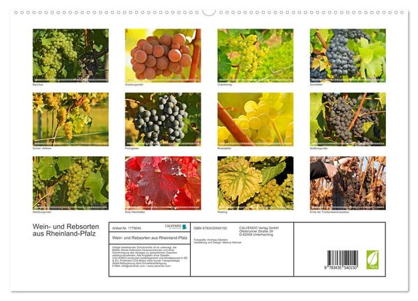 Produktbild: Wein- und Rebsorten aus Rheinland-Pfalz (hochwertiger Premium Wandkalender 2025 DIN A2 quer), Kunstdruck in Hochglanz