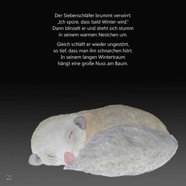 Produktbild: Buschel und die Silbernuss