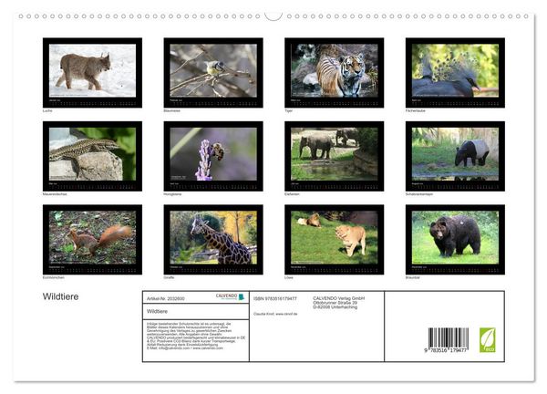 Produktbild: Wildtiere (hochwertiger Premium Wandkalender 2026 DIN A2 quer), Kunstdruck in Hochglanz