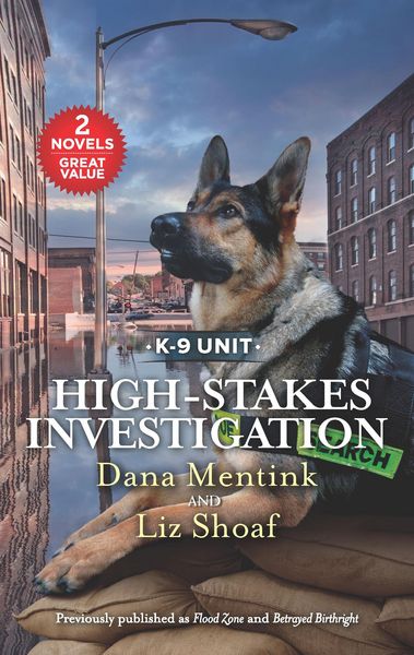 Produktbild: High-Stakes Investigation