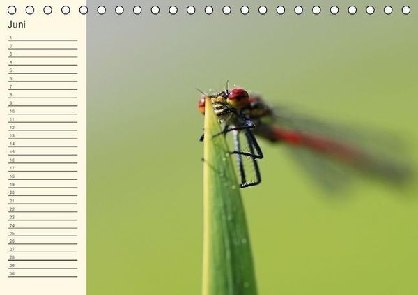 Produktbild: Geburtstagskalender "Nette Kleinigkeiten" (Tischkalender immerw&auml;hrend DIN A5 quer)