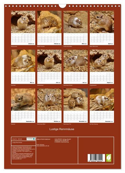 Produktbild: Lustige Rennm&auml;use (Wandkalender 2026 DIN A3 hoch), CALVENDO Monatskalender