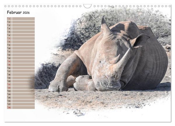 Produktbild: Tierisches Yoga (Wandkalender 2026 DIN A3 quer), CALVENDO Monatskalender