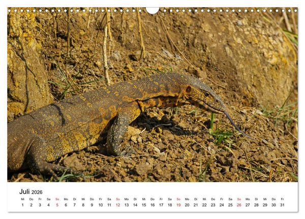 Produktbild: S&uuml;dafrika - Eine beeindruckende Tierwelt (Wandkalender 2026 DIN A3 quer), CALVENDO Monatskalender