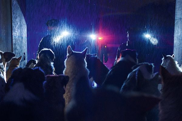 Produktbild: DogMan
