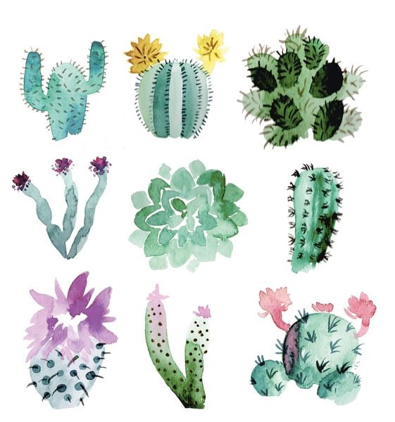 Produktbild: Watercolor - Die wunderbare Kreativbox. Mit Anleitungsbuch und Material