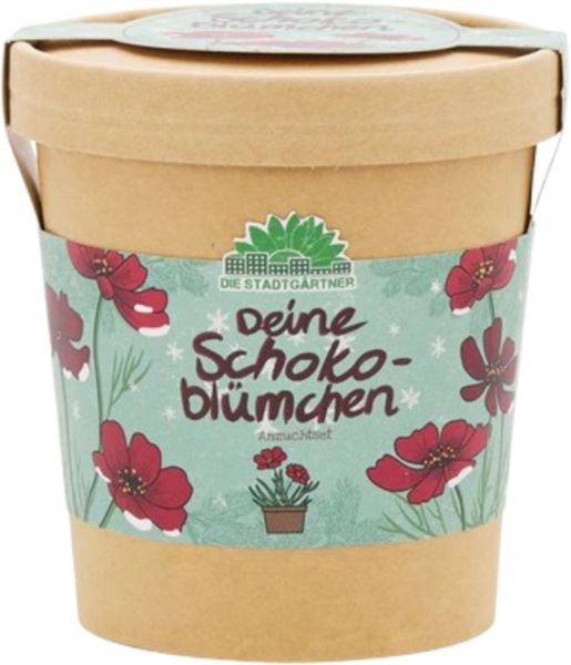 Produktbild: Anzuchtset Saatgut Schokoblumen aus dem Becher