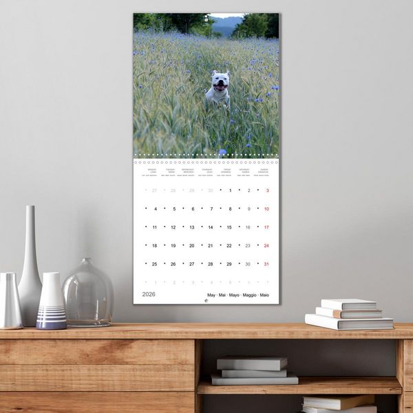 Produktbild: American Bulldog (Wall Calendar 2026 12 &times; 12 Inch) CALVENDO 12 Month Wall Calendar