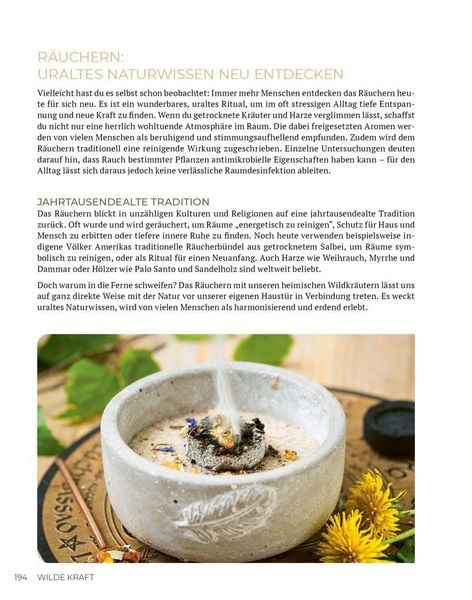 Produktbild: Wilde Kraft