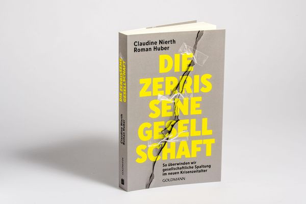 Produktbild: Die zerrissene Gesellschaft
