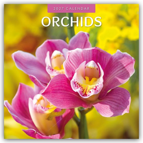 Produktbild: Orchids &ndash; Orchideen 2027 &ndash; 16-Monatskalender