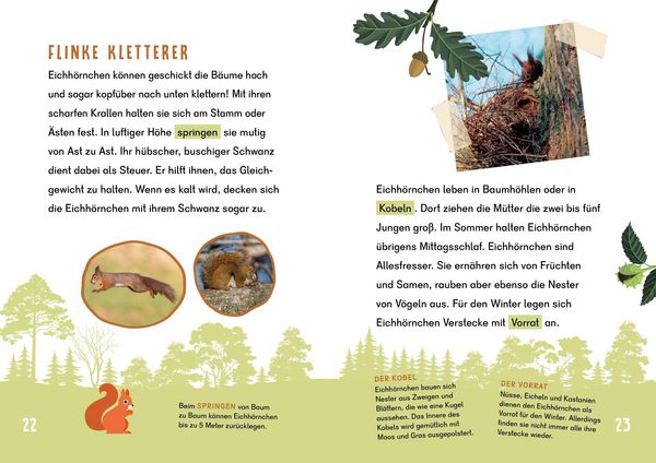 Produktbild: Dein Lesestart - Wald