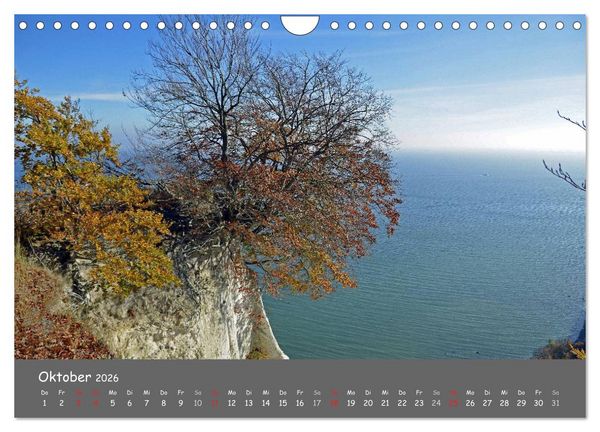 Produktbild: R&uuml;gen &ndash; Insel der Superlative (Wandkalender 2026 DIN A4 quer), CALVENDO Monatskalender