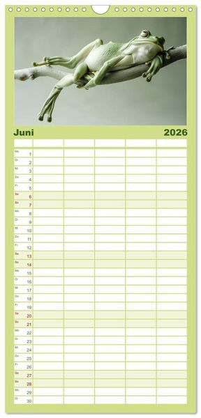 Produktbild: Familienplaner 2026 - Lustige Amphibienbande mit 5 Spalten (Wandkalender, 21 x 45 cm) CALVENDO
