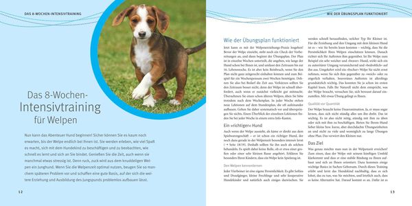 Produktbild: Welpen-Erziehung
