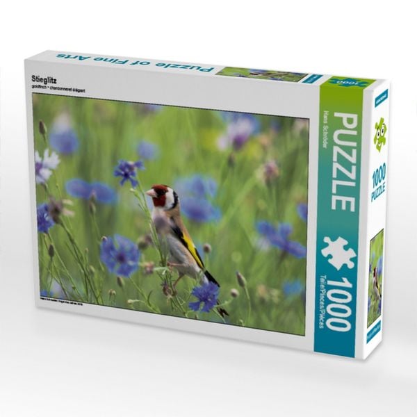 CALVENDO Puzzle Stieglitz | 1000 Teile Lege-Größe 64x48cm Foto-Puzzle für glückliche Stunden