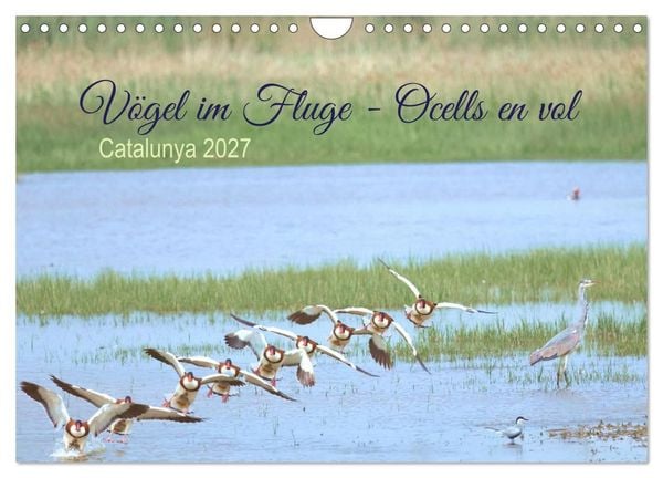 Produktbild: V&ouml;gel im Fluge - Ocells en vol (Wandkalender 2027 DIN A4 quer), CALVENDO Monatskalender