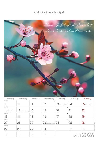 Auszeit für die Seele 2026 - Bildkalender 23,7x34 cm - Kalender mit Platz für Notizen - mit vielen Zusatzinformationen - Wandkalender - Alpha Edition