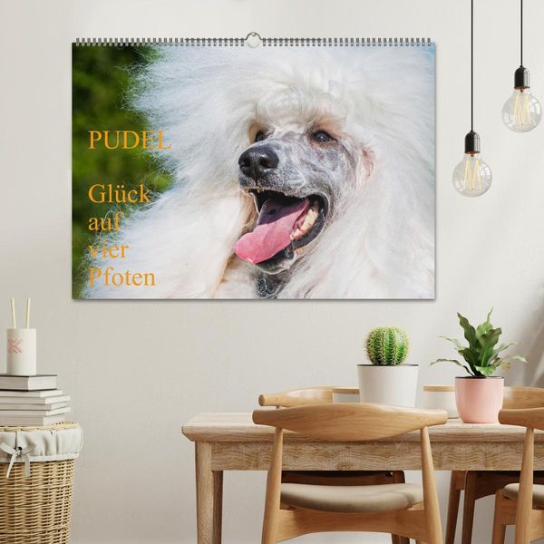 Produktbild: Pudel - Gl&uuml;ck auf vier Pfoten (Wandkalender 2026 DIN A2 quer), CALVENDO Monatskalender