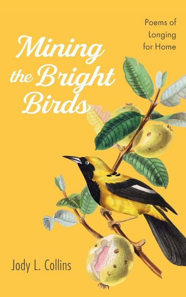 Produktbild: Mining the Bright Birds