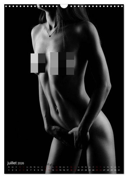 Produktbild: Apparat lumineux (Calendrier mural 2026 DIN A3 horizontal), CALVENDO calendrier mensuel