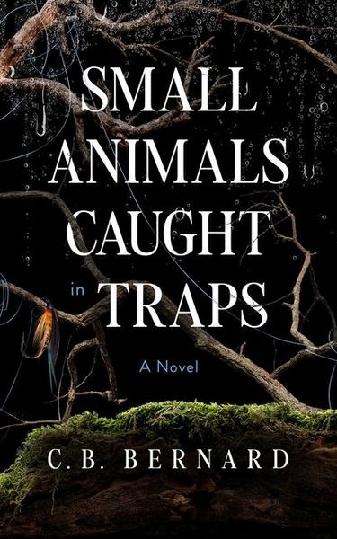 Produktbild: Small Animals Caught in Traps