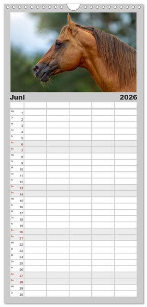 Produktbild: Familienplaner 2026 - Faszination Westernpferde mit 5 Spalten (Wandkalender, 21 x 45 cm) CALVENDO