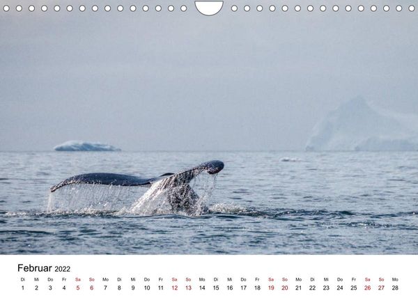 Produktbild: Gr&ouml;nlands Westen (Wandkalender 2022 DIN A4 quer)
