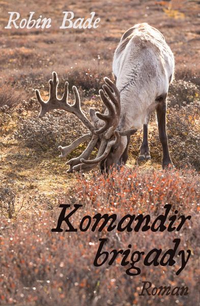 Produktbild: Komandir brigady