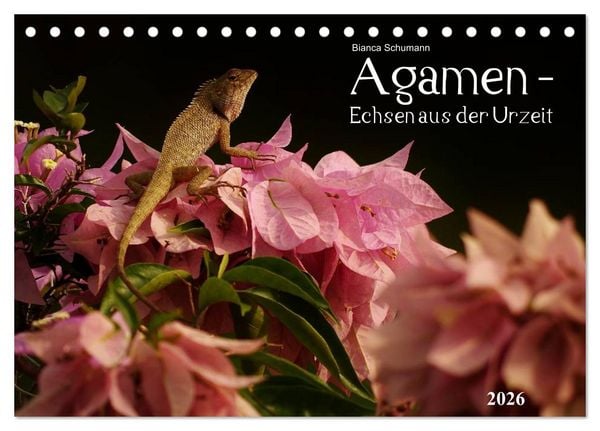 Produktbild: Agamen - Echsen aus der Urzeit (Tischkalender 2026 DIN A5 quer), CALVENDO Monatskalender