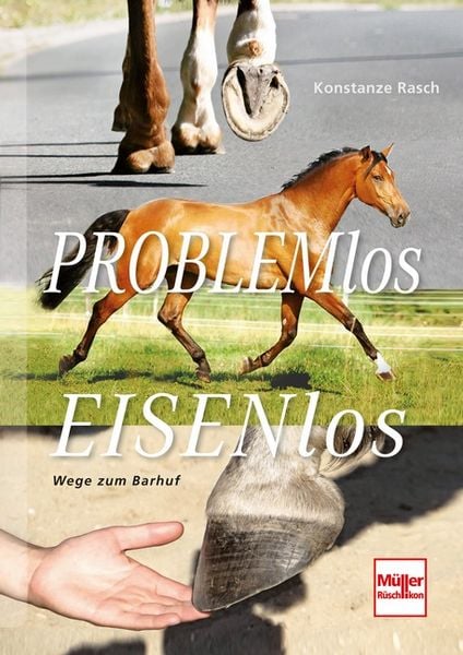 Produktbild: Problemlos Eisenlos