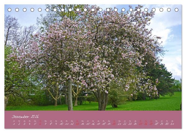 Produktbild: D&uuml;sseldorfer Nordpark (Tischkalender 2026 DIN A5 quer), CALVENDO Monatskalender