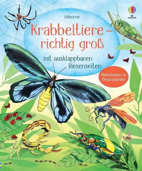 Produktbild: Krabbeltiere - richtig gro&szlig;