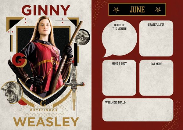 Produktbild: Harry Potter &ndash; A5-Tischkalender 2027