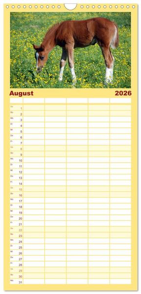 Produktbild: Familienplaner 2026 - Nachwuchs in der Tierwelt mit 5 Spalten (Wandkalender, 21 x 45 cm) CALVENDO