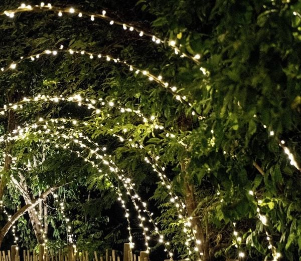 Produktbild: WS-SL02 100L Solar-Lichterkette LED 0.3W Grün